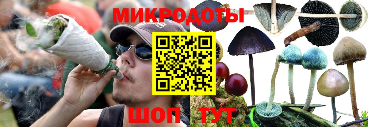 Мичуринск  Псилоцибиновые грибы Magic Shrooms  Вход с VPN  Галлюциногенные грибы ЛСД 